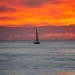 Sailboat Silhouette