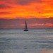 Sailboat Silhouette